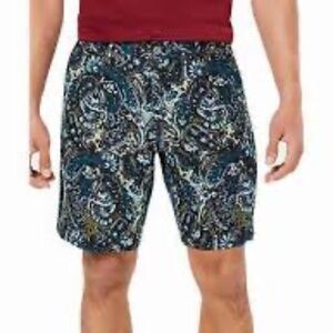 NEW 40 Preppy Linen Paisley Shorts Coastal Vacation Travel Blue Green Tasso Elba